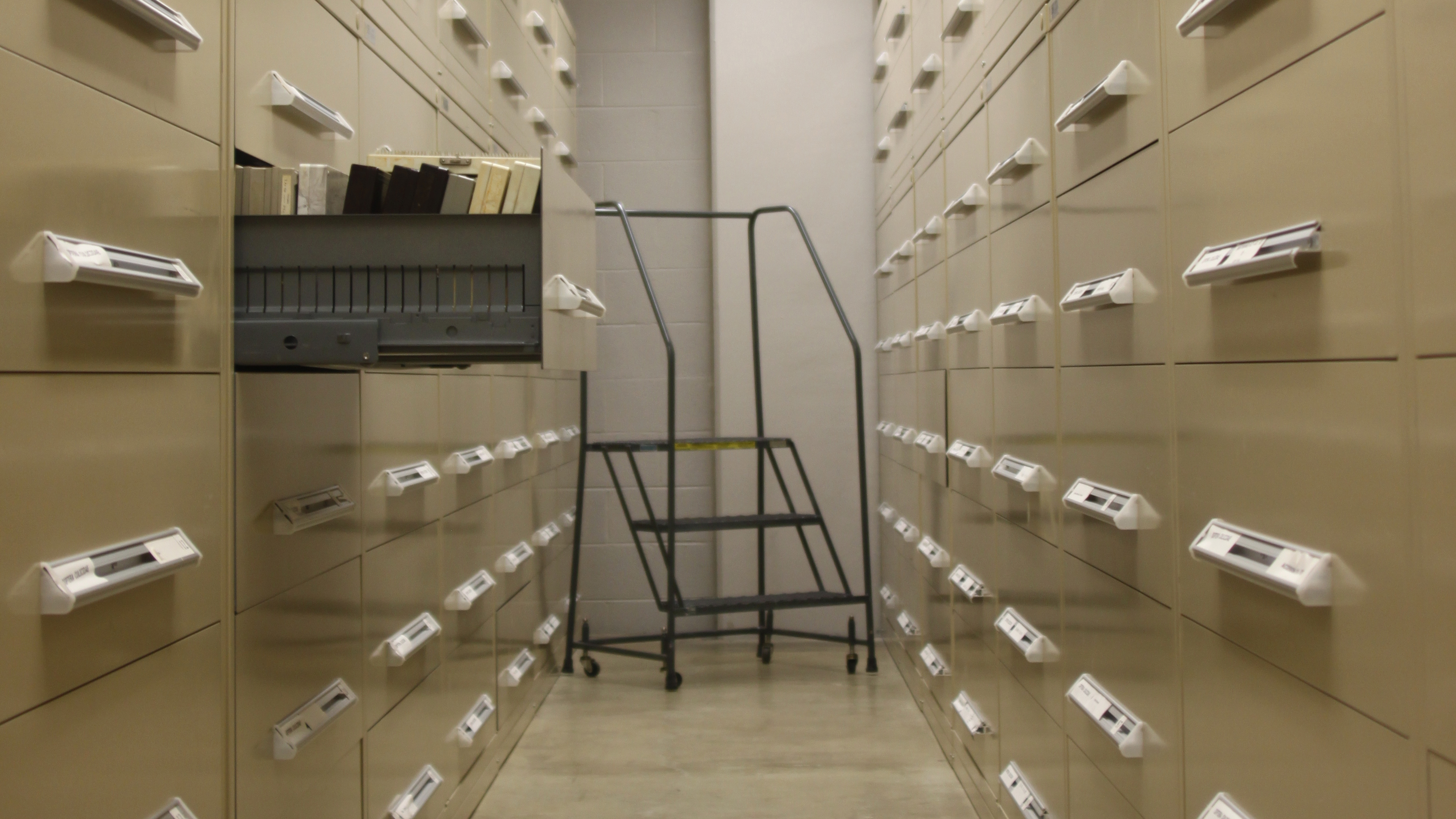 View of collections drawers