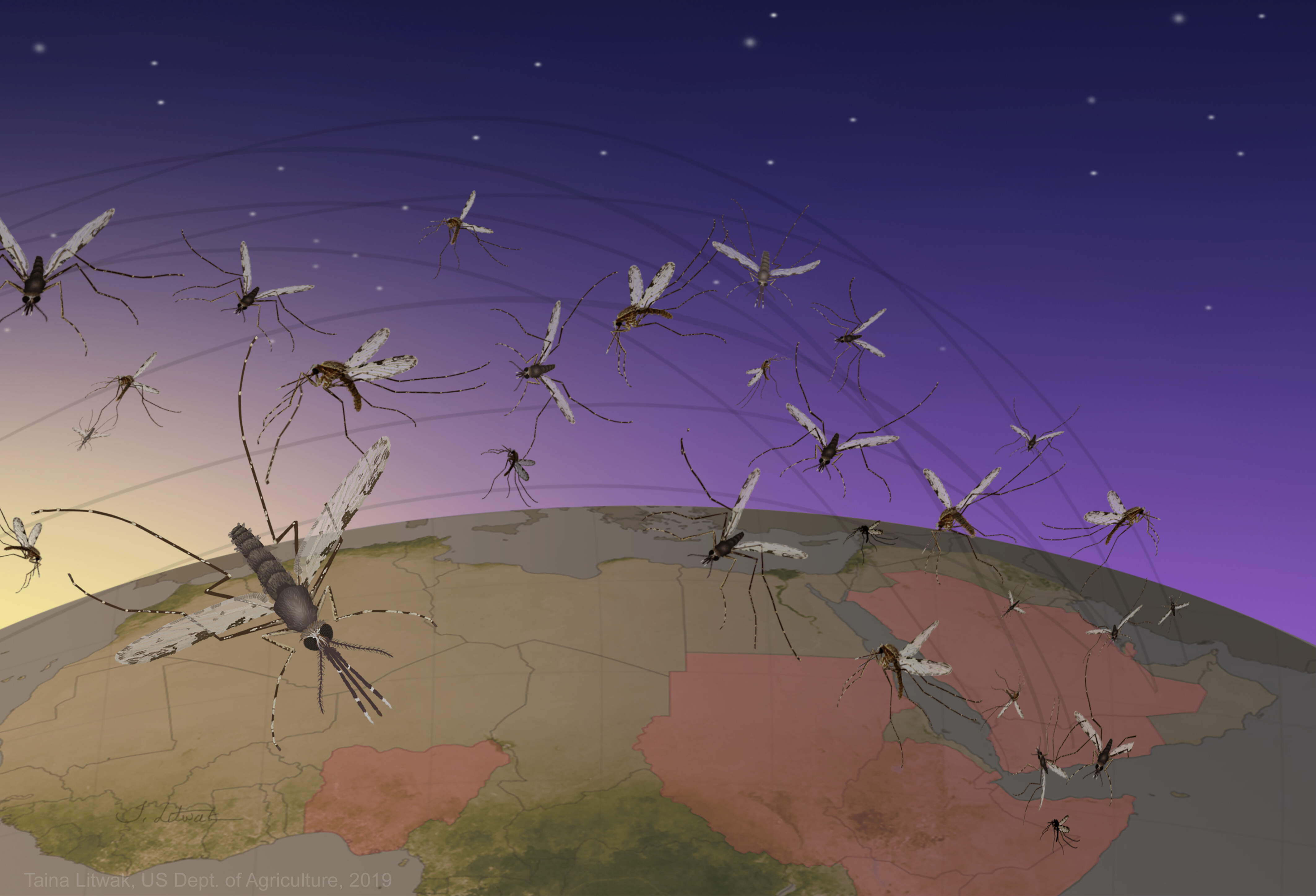 Urban malaria may be spreading via the wind